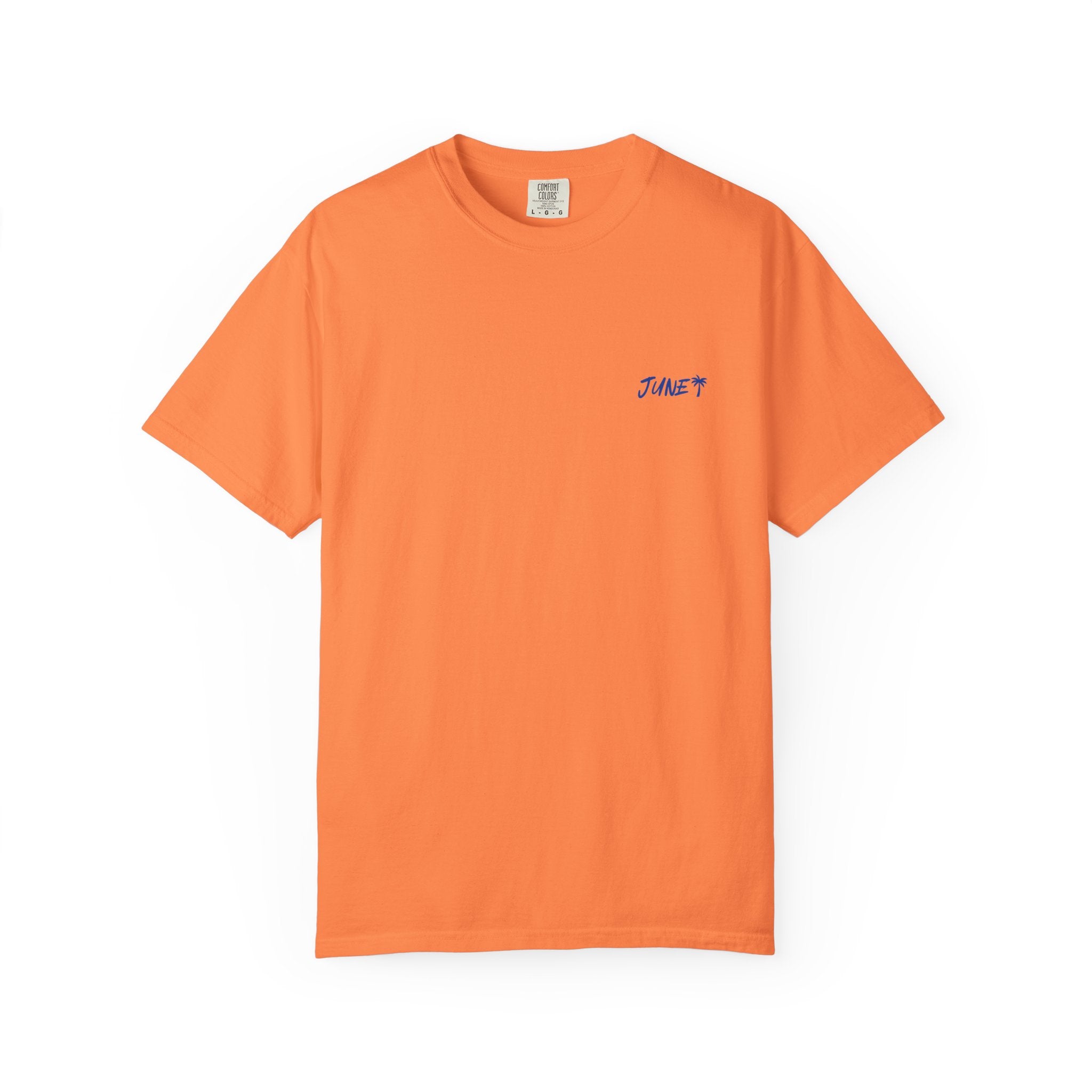 Run Fast Live Free T-shirt
