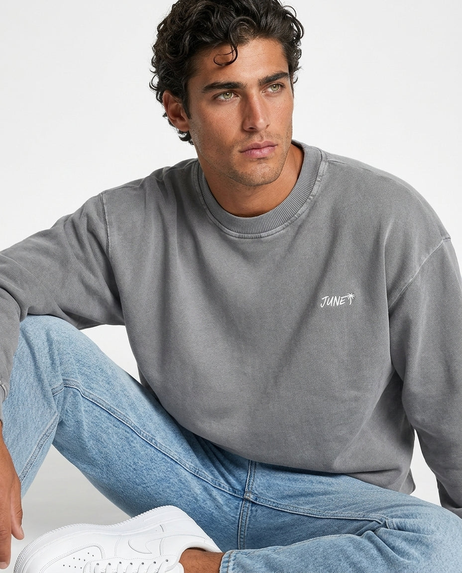 sweatshirt,men